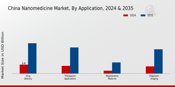 China Nanomedicine Market Segment