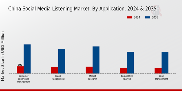 China Social Media Listening Market Segment