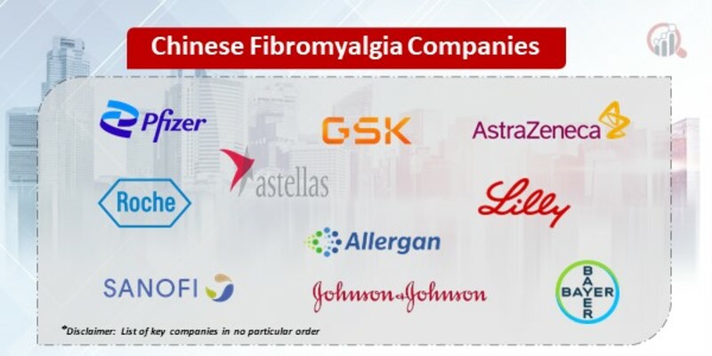 Chinese Fibromyalgia Key Companies