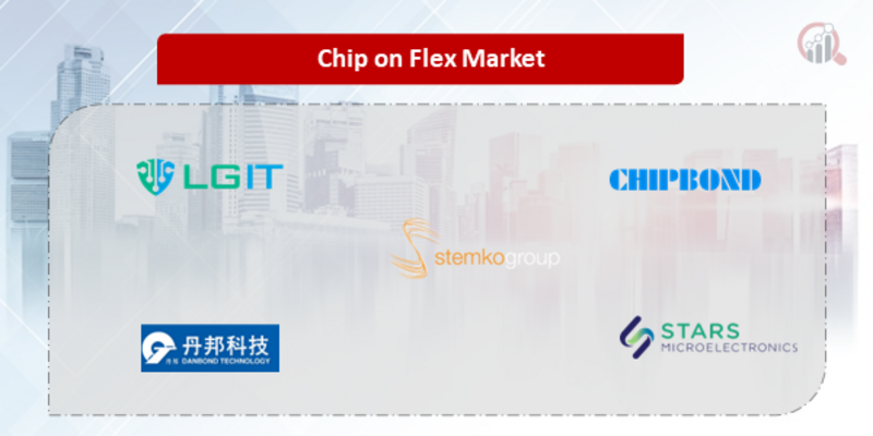 Chip On Flex Companies