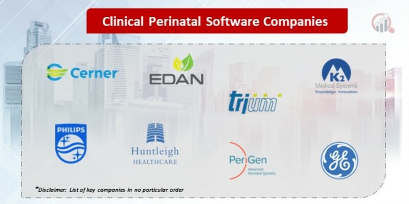 Clinical Perinatal Software Key Companies