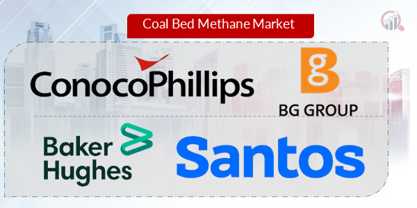 Coal Bed Methane Key Company