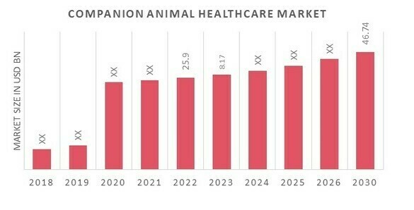 Companion Animal Healthcare Market Overview