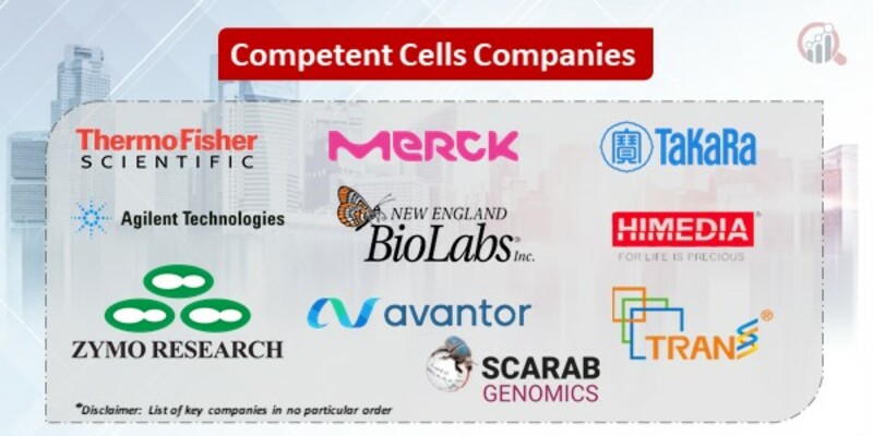 Competent Cells Key Companies