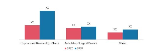 Cosmetic Surgery Market, by End User, 2022 & 2030