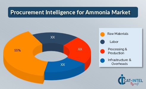 Cost Breakdown for the Ammonia Total Cost of Ownership (TCO) and Cost Saving Opportunities