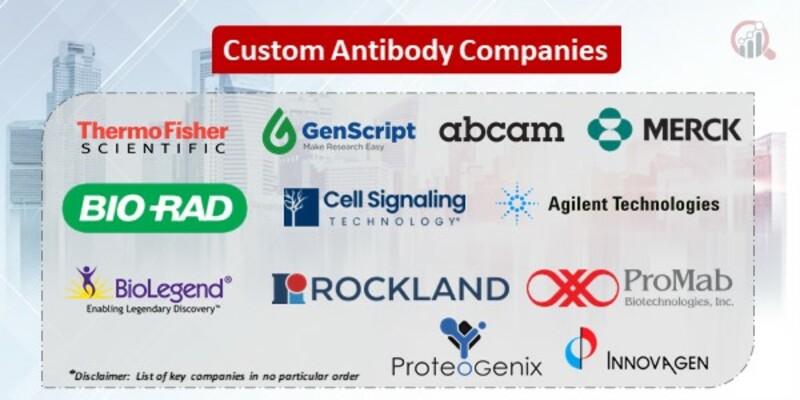 Custom Antibody Key Companies