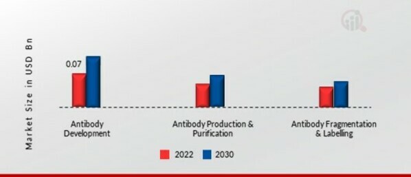 Custom Antibody Market, by Service, 2022 & 2030 (USD Billion)