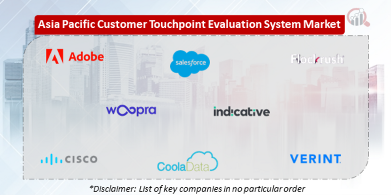 Asia Pacific Customer Touchpoint Evaluation System Companies