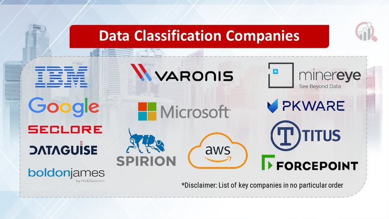 Data Classification Companies