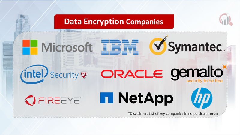 Data Encryption Companies