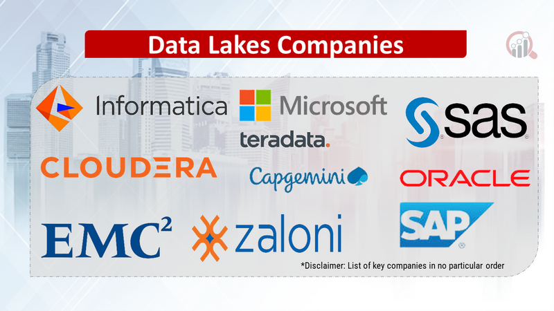 Data Lakes Companies