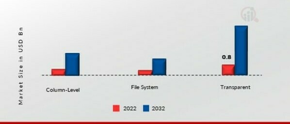 Database Encryption Market, by Encryption Type, 2022 & 2032 