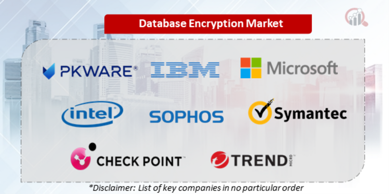 Database Encryption Companies