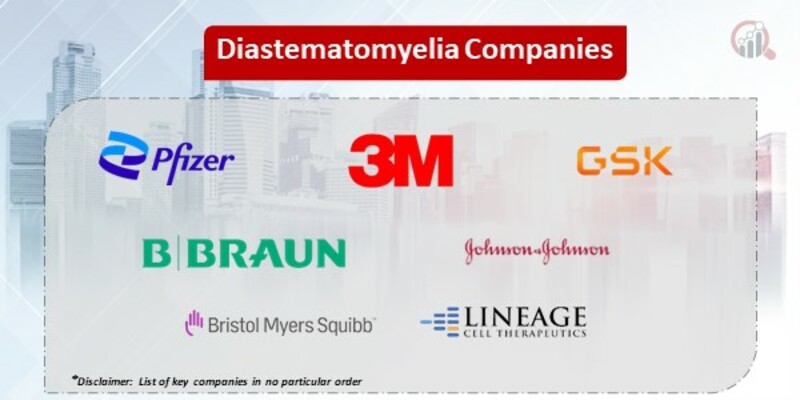 Diastematomyelia Key Companies