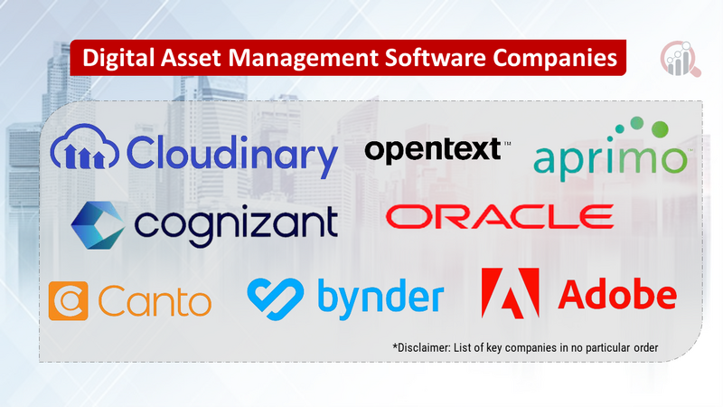 Digital Asset Management Software Companies