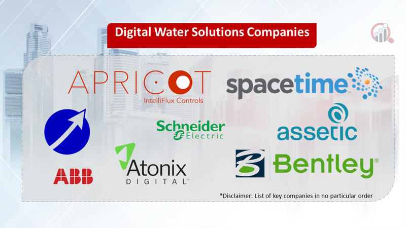 Digital Water Solutions companies