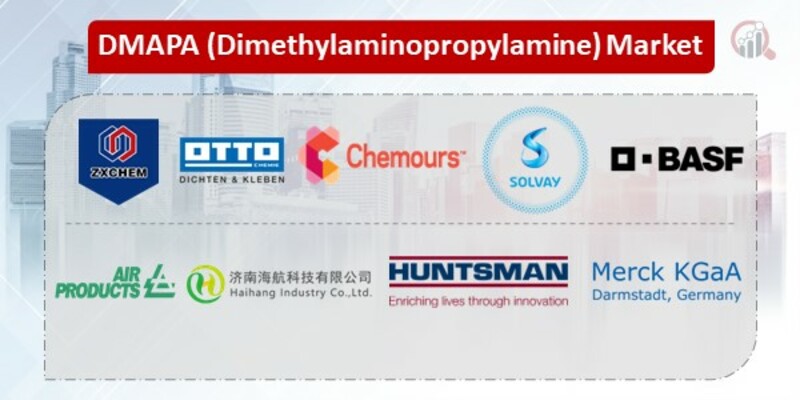 Dimethylsminopropylamine Key Companies 