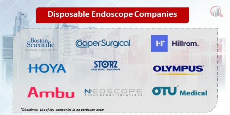 Disposable Endoscope Key Companies