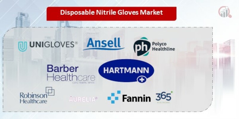Disposable Nitrile Gloves Key Companies