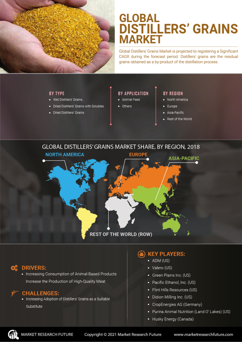 Distillers Grains Market