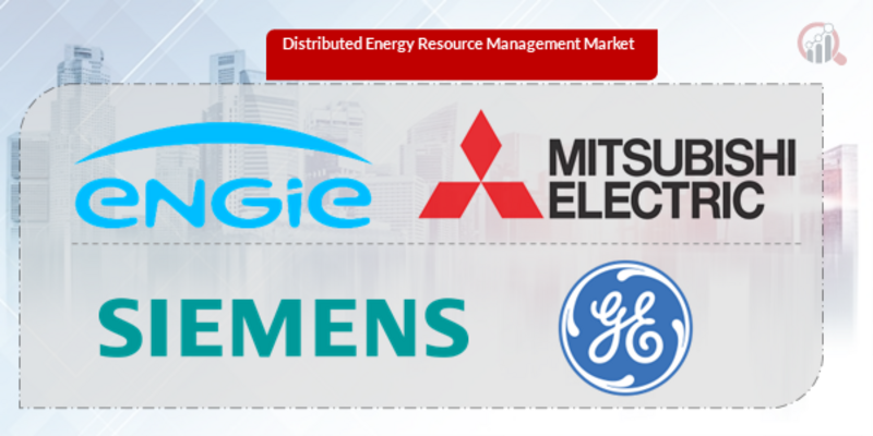 Distributed Energy Resource Management Key Company