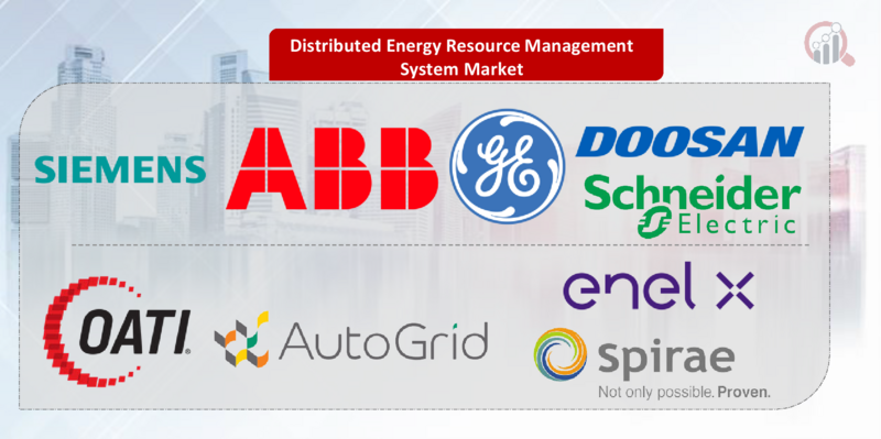 Distributed Energy Resource Management System Key Company