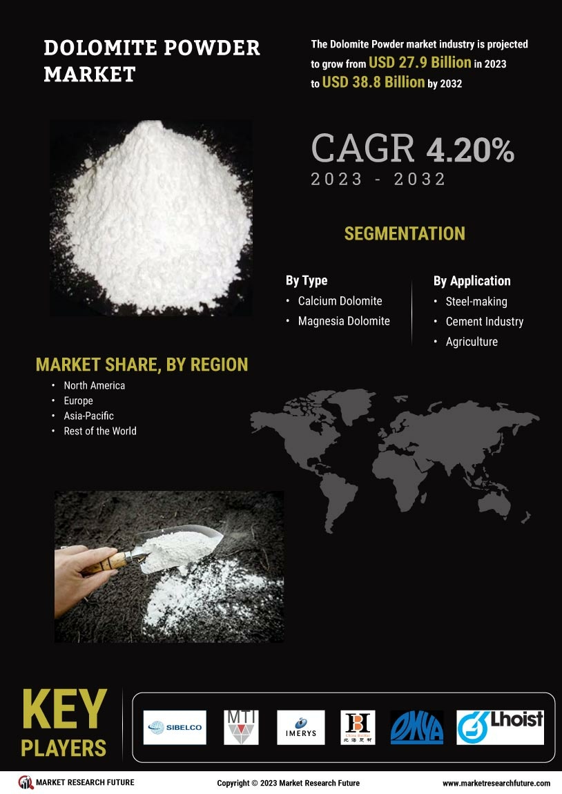 Dolomite Powder Market