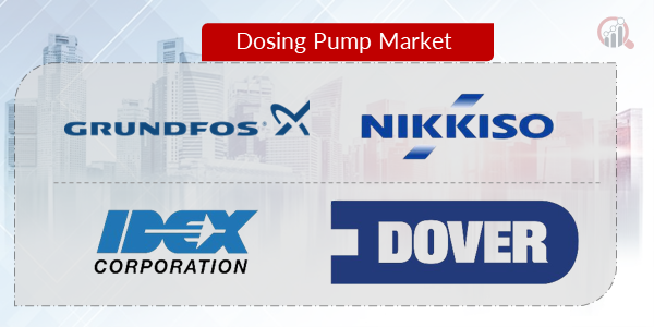 Dosing Pump Key Company