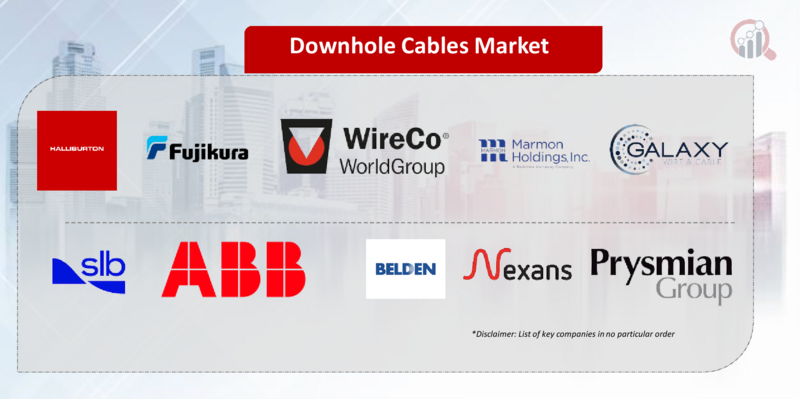 Downhole Cables Key Company