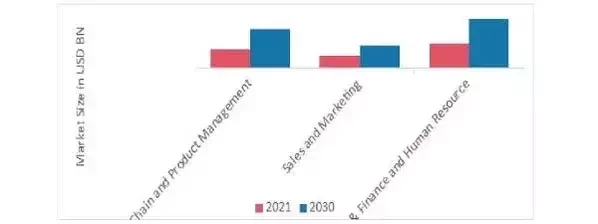 ERP 软件市场，按功能划分，2021 年和 2030 年