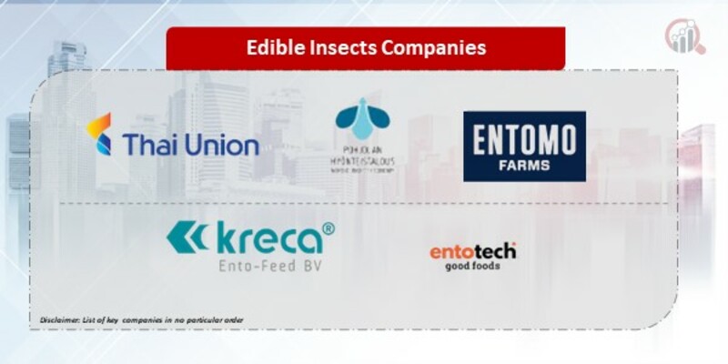 Edible Insects Companies