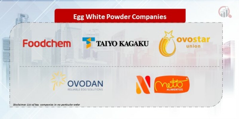 Egg White Powder Companies