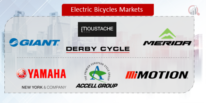 Electric Bicycles Key Company