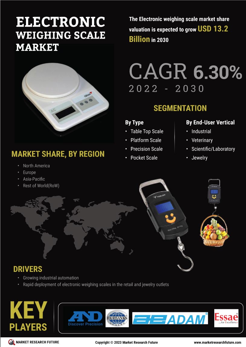 Electronic Weighing Scale Market 