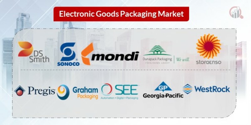 Electronic Goods Packaging Key Companies