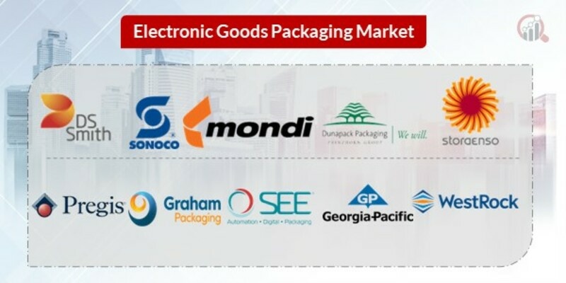 Electronic Goods Packaging Key Companies