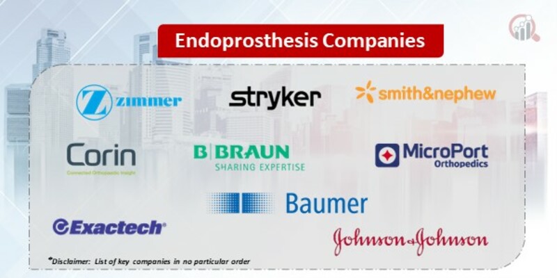 Endoprosthesis Key Companies
