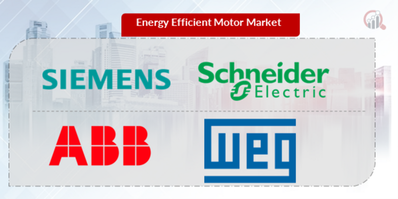 Energy Efficient Motor Key Company