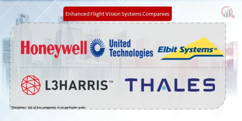 Enhanced Flight Vision Systems Companies