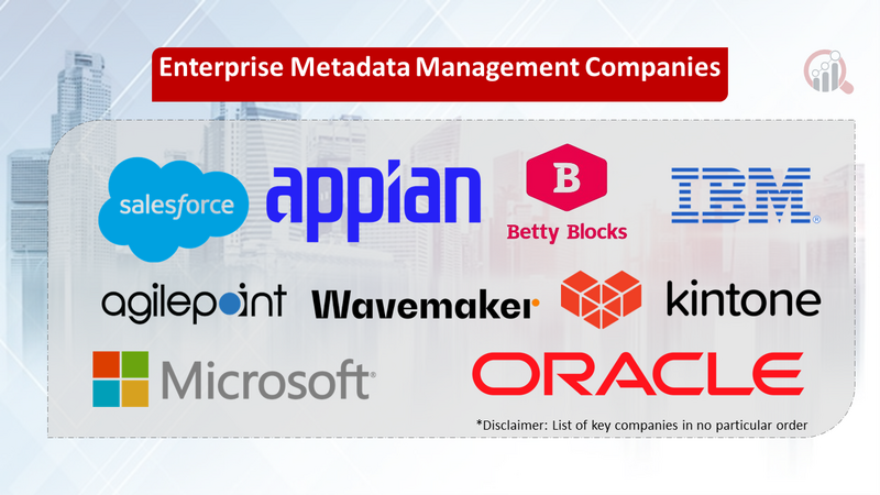 Enterprise Metadata Management companies