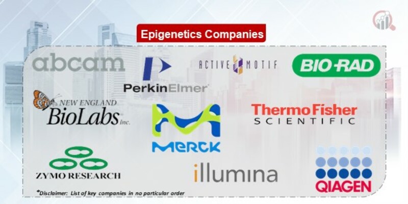 Epigenetics Key Companies
