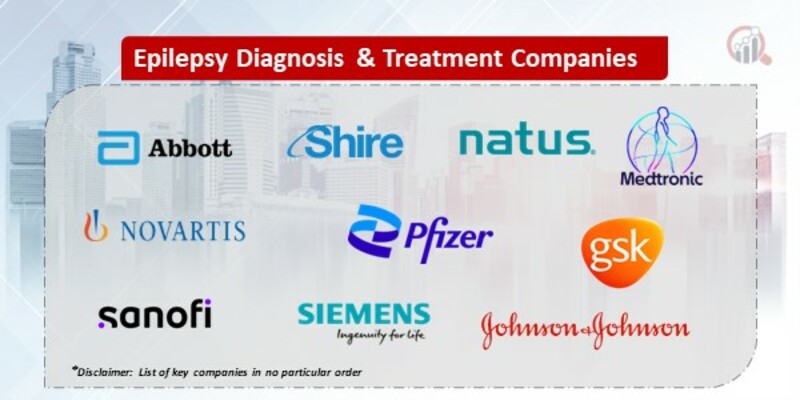Epilepsy Diagnosis & Treatment Market 