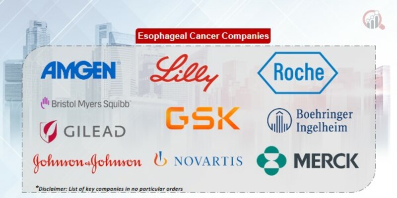 Esophageal Cancer Key Companies