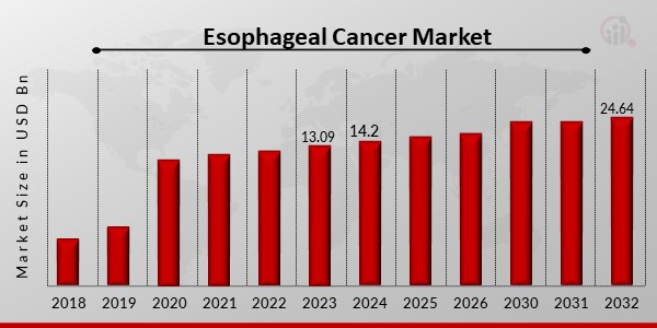 Esophageal Cancer Market Overview