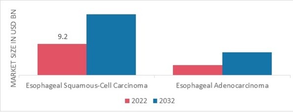 Esophageal Cancer Market by Type, 2022 & 2032