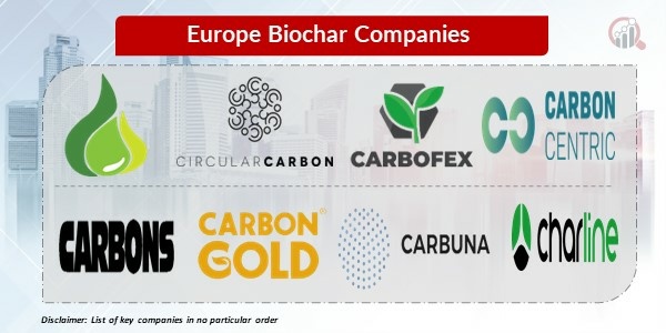 European biochar key Companies