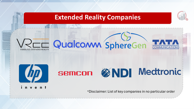 Extended Reality Companies