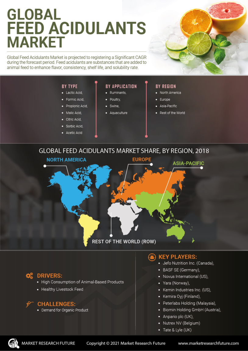 Feed Acidulants Market