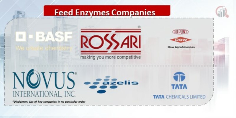 Feed Enzymes Companies.jpg